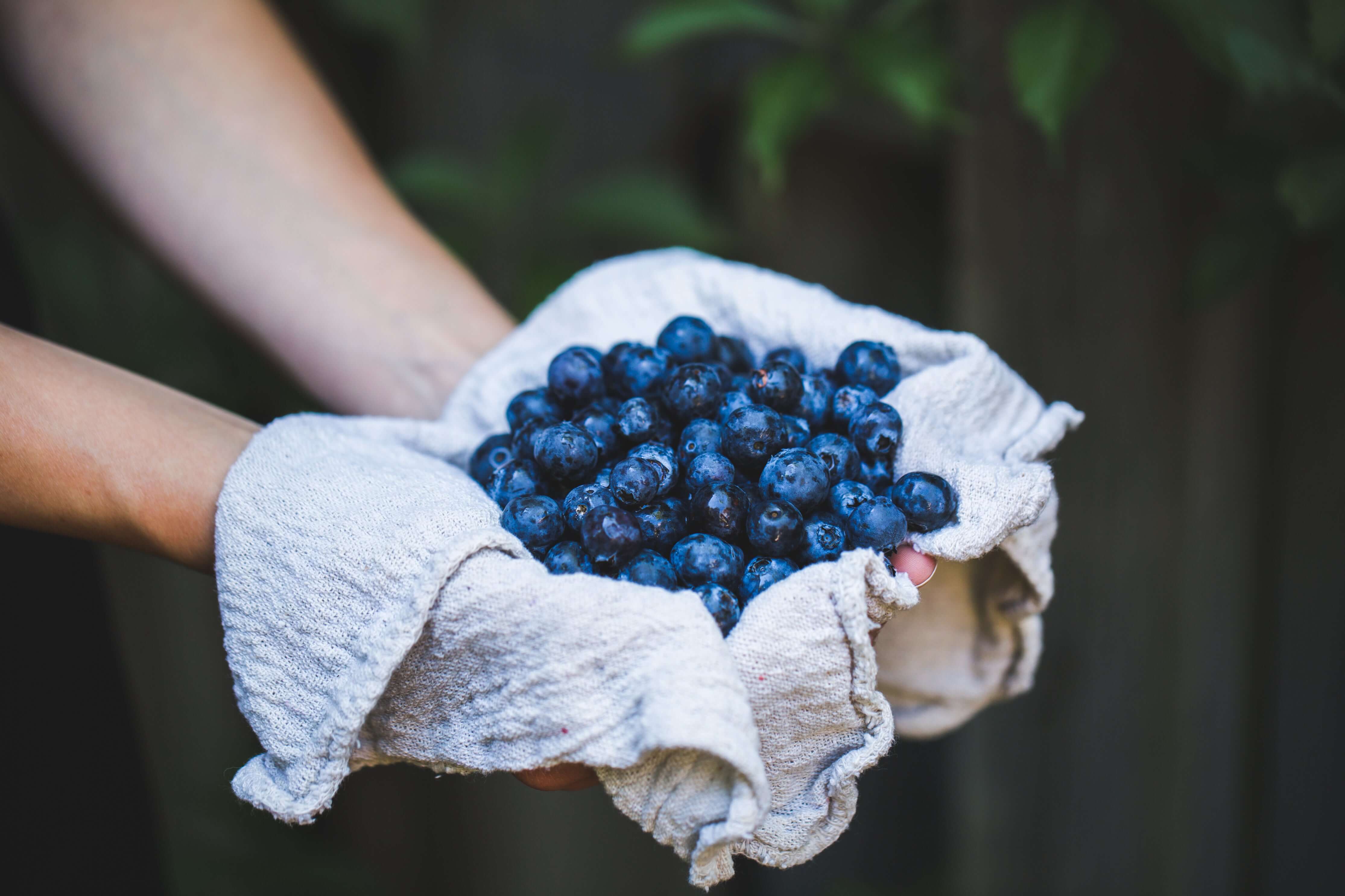 Enhance Your Eye Health with Japanese Blueberry Supplements